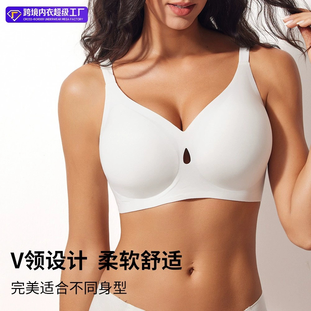 Women's Plus Size Bra, Full Co - Full Coverage Bra のレビューと価格